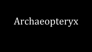 Archaeopteryx How To Say