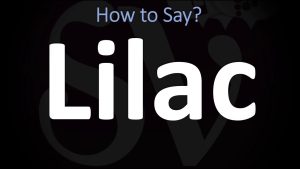 How Do You Say Lilac