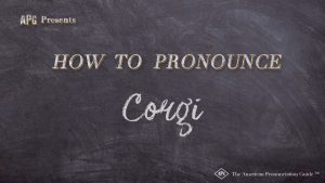 How To Say Corgi