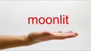 How To Pronounce Moonlit