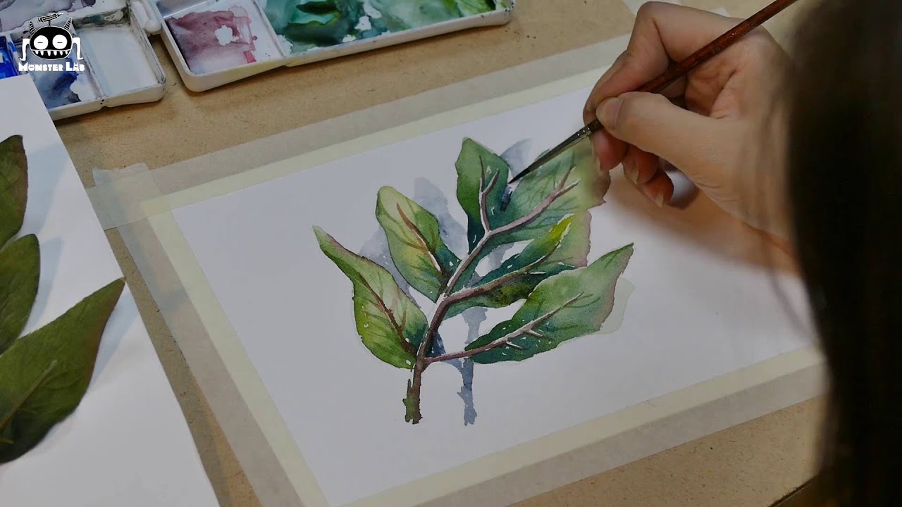 Watercolor Tut] Hướng Dẫn Vẽ Màu Nước (Số Thứ 1): Vẽ Chiếc Lá [Màu Nước Mỗi  Ngày] - Youtube