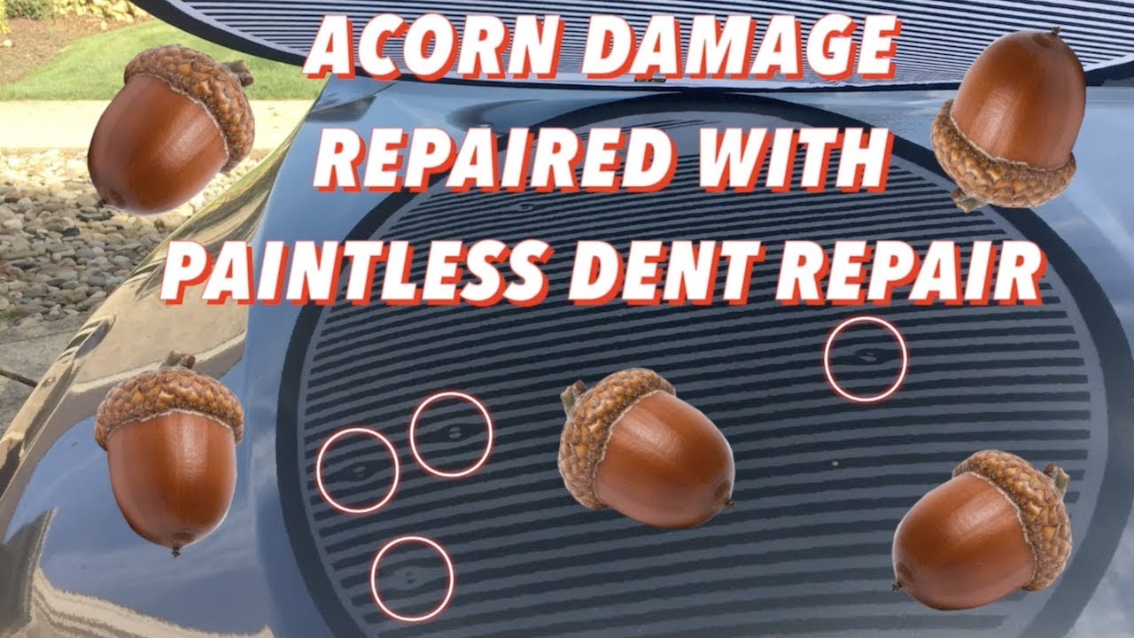 How To Remove Acorn Dents From Car